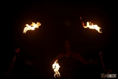 Faun_11