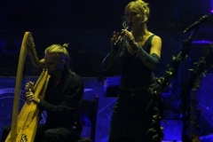 Faun_21