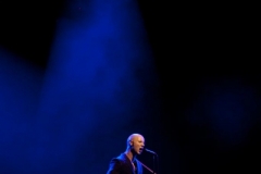 Katzenjammer19