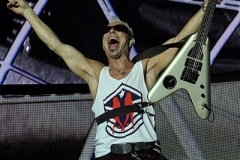 scorpions_008