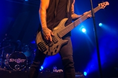 Skillet_08