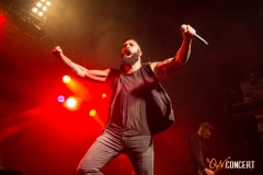 Skillet_13