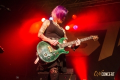 Skillet_14