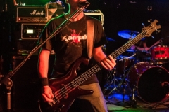 ProPain_15