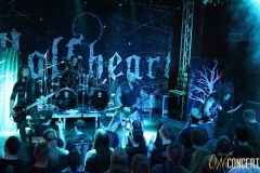 Wolfheart_038