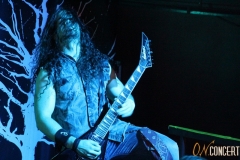 Wolfheart_039