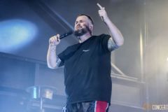 FeineSahneFischfilet_10